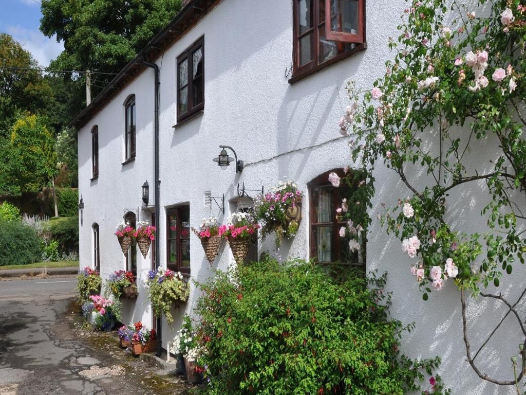 Shepherds Row Bed And Breakfast West Haddon Exteriör bild